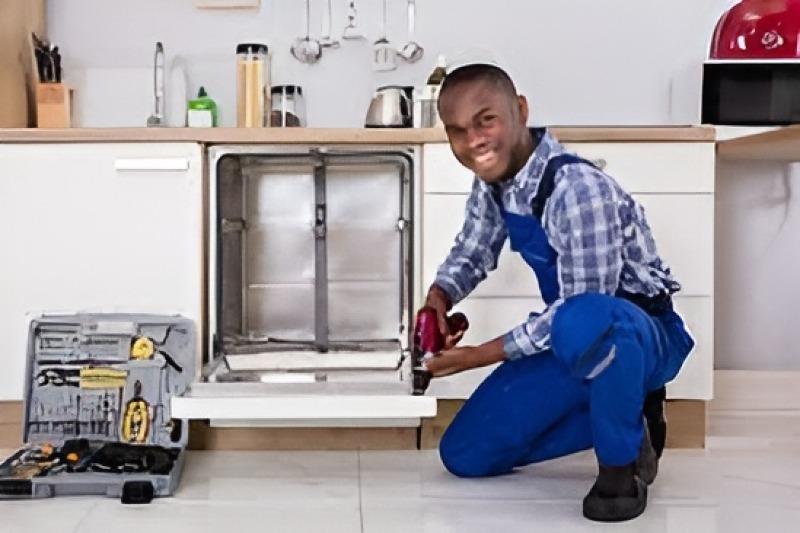 Dishwasher repair in Bonita